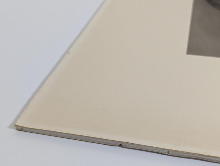 Georgia O'keeffe Portrait By Alfred Stieglitz Vintage MET Art Poster