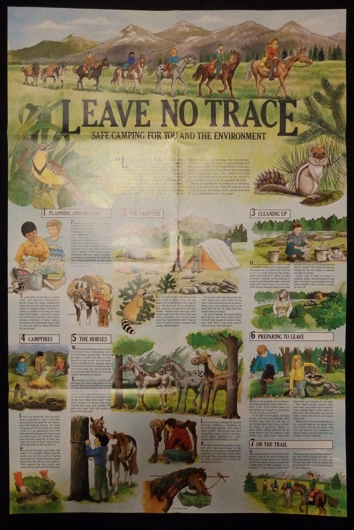 Leave No Trace Vintage Forrestry Wildlife Recreation Educational Poster