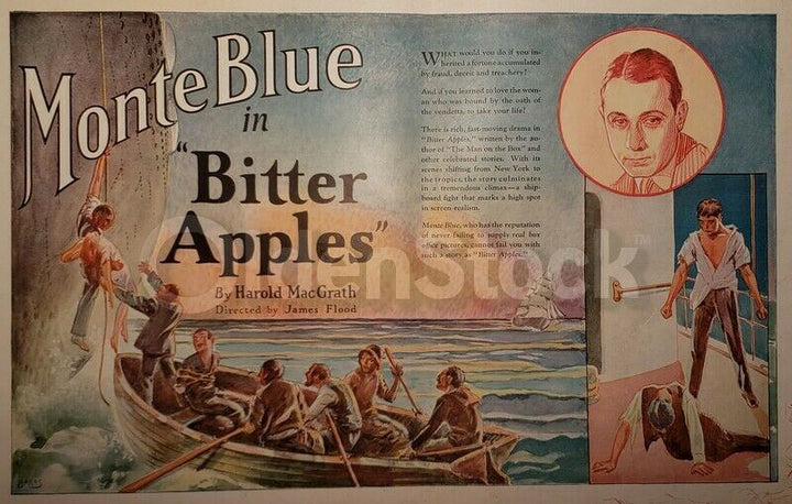 Monte Blue Bitter Apples Silent Film Antique Warner Brothers Movie Poster 1926