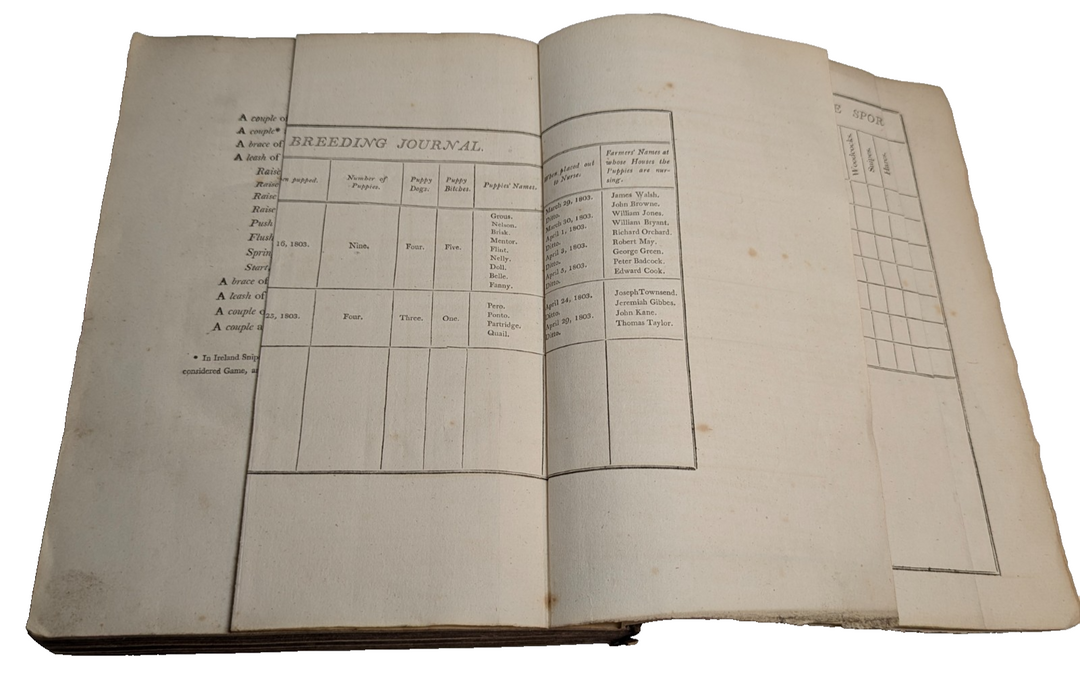 Antique Book on Dog Hunting Thornhill Shooting Directory 1st Edition 1804