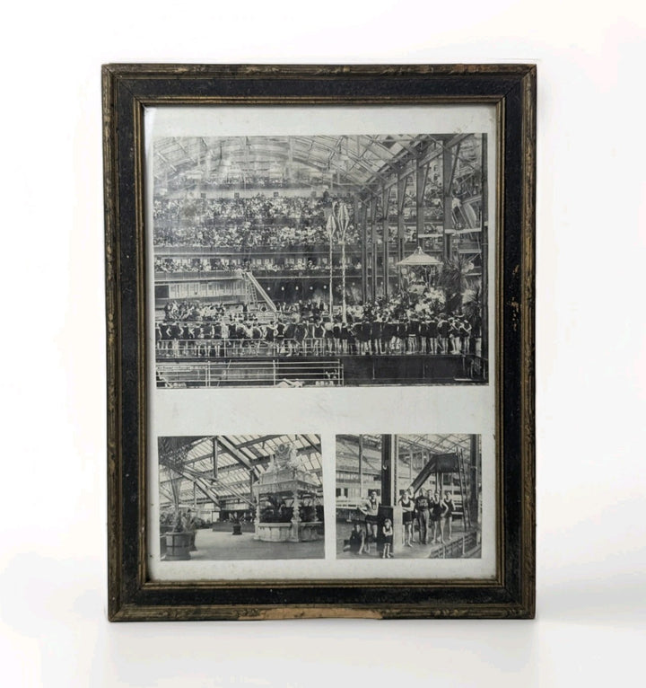Sutro Baths Life Guards San Francisco Swinning Pools Antique Photo Display