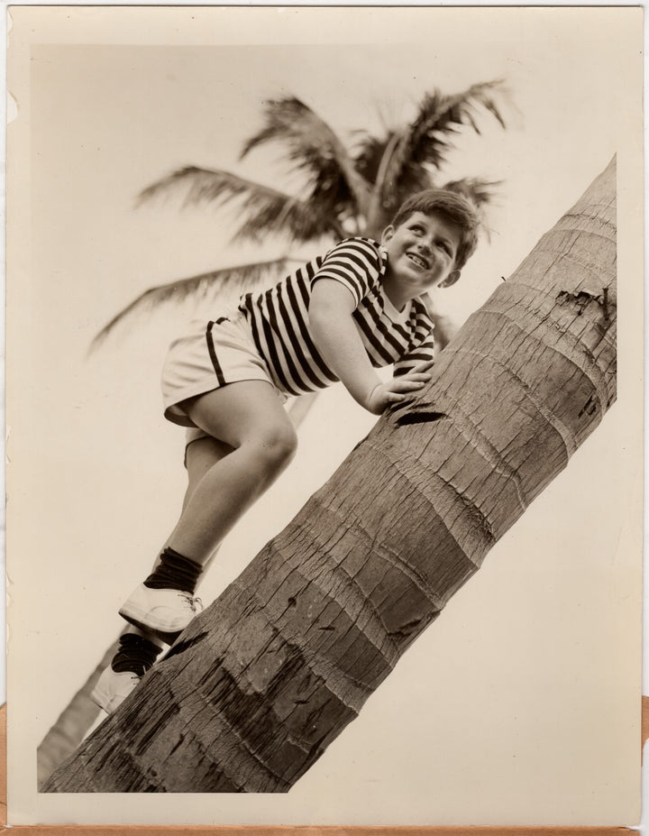 Young Ted Kennedy Boy Climbing Tree South Sea Political Press Photo