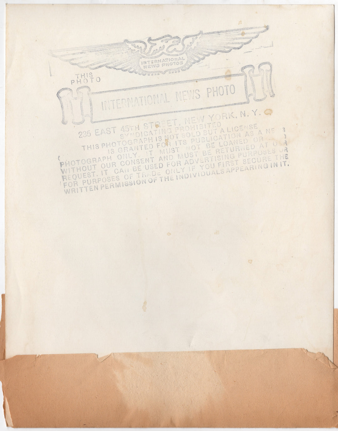 Young Ted Kennedy Boy Climbing Tree South Sea Political Press Photo