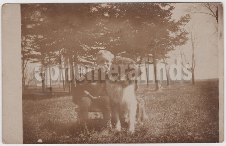 Happy Little Boy and Handsome Collie Dog Antique Real Photo Postcard RPPC