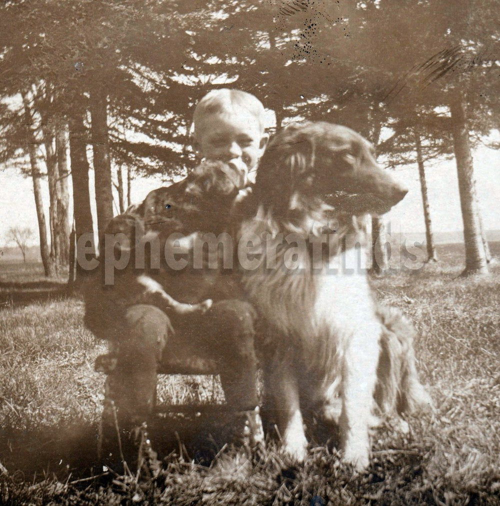 Happy Little Boy and Handsome Collie Dog Antique Real Photo Postcard RPPC