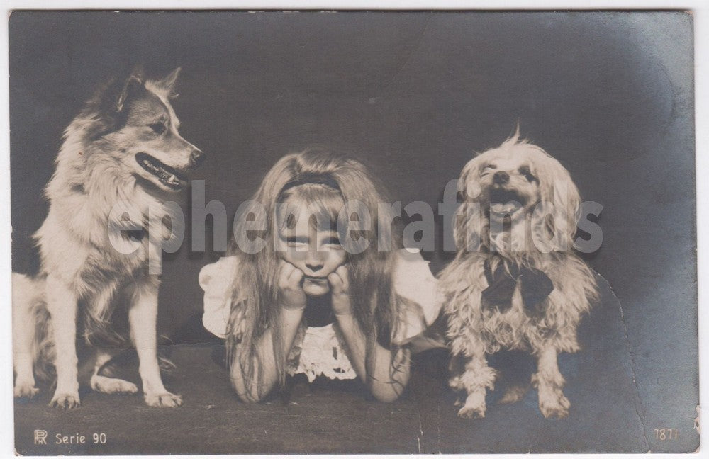 Darling Little Girl Collie Terrier Show Dogs Antique Real Photo Postcard RPPC