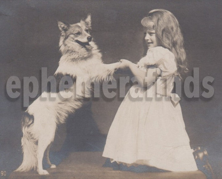 Darling Little Blonde Girl and Collie Show Dog Antique Real Photo Postcard RPPC