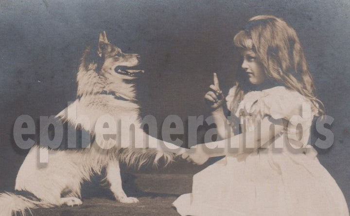 Darling Little Girl Collie Show Dog Handshake Antique Real Photo Postcard RPPC
