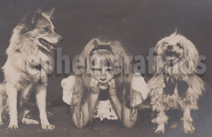 Darling Little Girl Collie Terrier Show Dogs Antique Real Photo Postcard RPPC