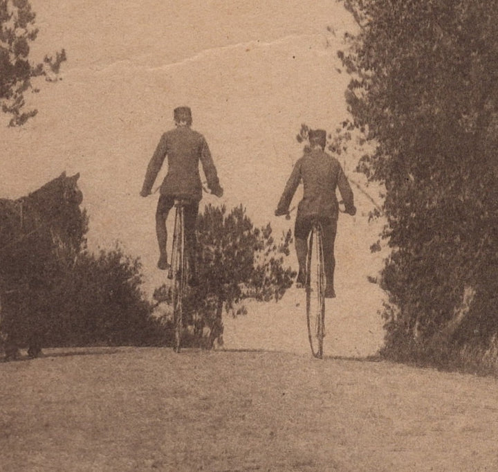 Unusual High Wheel Bicycle Bike Riders from Behind Antique Vernacular Photo