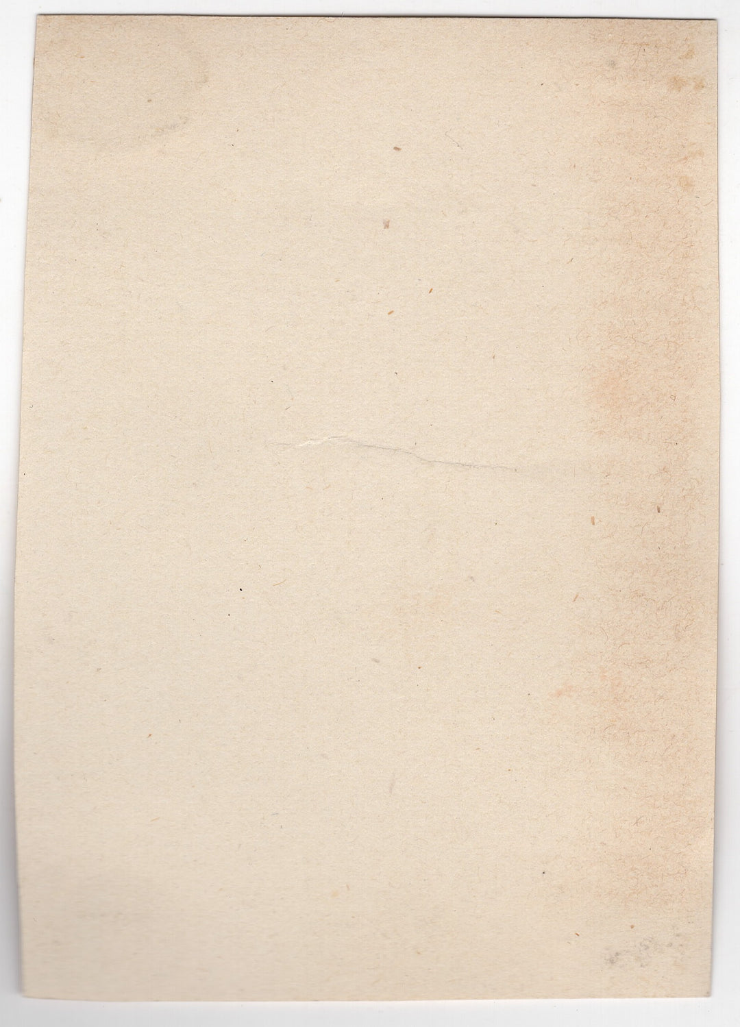 Unusual High Wheel Bicycle Bike Riders from Behind Antique Vernacular Photo