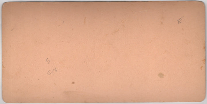 Teddy Roosevelt Charleston Exposition Antique Stereoview Card Photograph