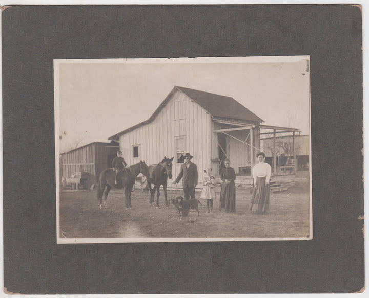 American Homestead Family Farm House Coonhound Dogs Antique Photo on Board