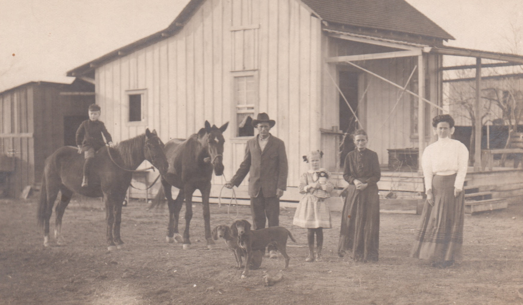 American Homestead Family Farm House Coonhound Dogs Antique Photo on Board