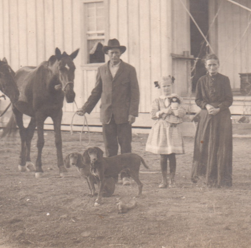 American Homestead Family Farm House Coonhound Dogs Antique Photo on Board