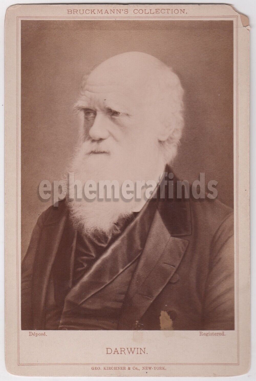 Charles Darwin Evolution Biologist Scientist Original Antique Cabinet Photo