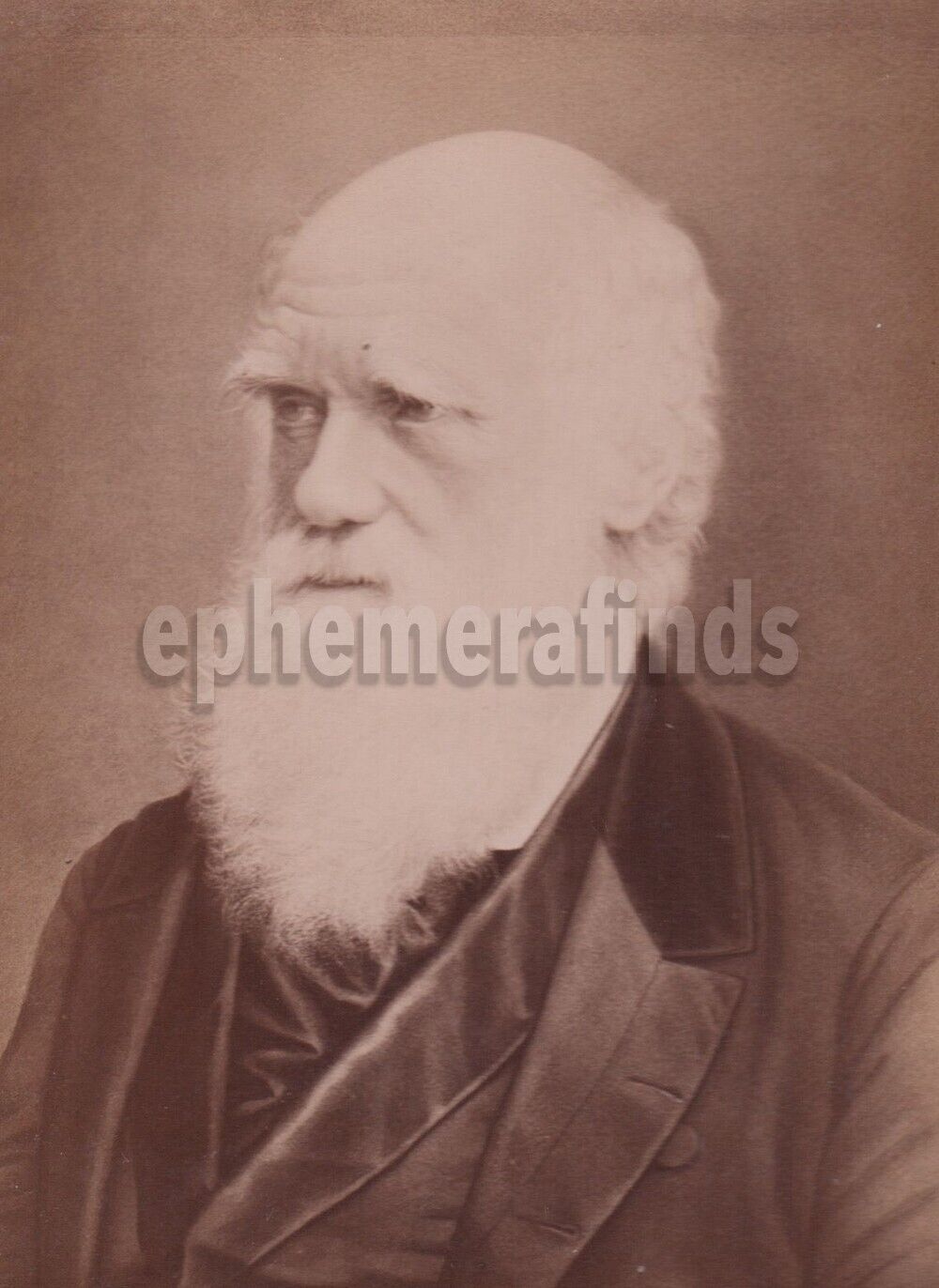 Charles Darwin Evolution Biologist Scientist Original Antique Cabinet Photo