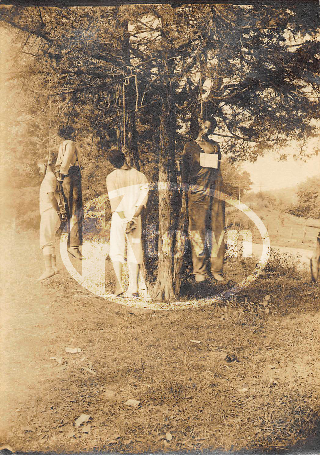 Russelville Kentucky Black Farmers Mob Lynching 1908 Hate Crime Original Antique Photograph - K-townConsignments