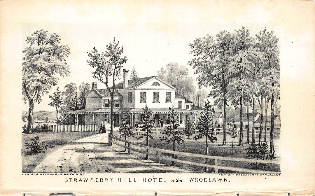 Strawberry Hill Hotel Woodlawn Hotel New York Antique Engraving Print 1856
