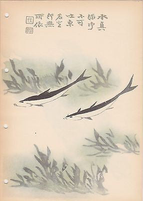 ASIAN FISH SCENE VINTAGE 1950s JUNG PAO-DSAI CHINESE GRAPHIC ART POSTER PRINT - K-townConsignments