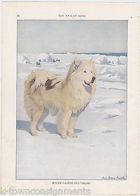 North Greenland Eskimo Dog Vintage Louis Agassiz K9 Graphic Art Print - K-townConsignments
