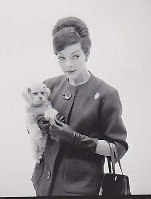 NANCY WESTBROOK SKIRT SUIT & DOG VINTAGE LILLY DACHE FASHION MODEL PHOTO SHEET - K-townConsignments