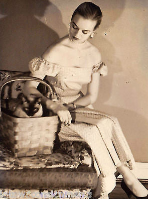 KITTY CAT IN A PICNIC BASKET W/ SUN DRESS FASHION MODEL VINTAGE SNAPHOT PHOTOS - K-townConsignments