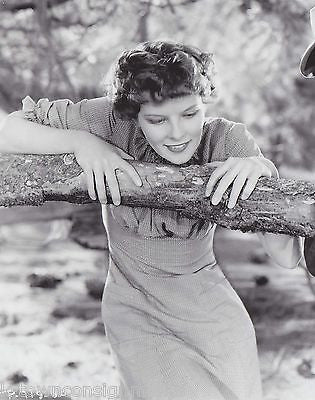 KATHARINE HEPBURN ROBERT YOUNG SPITFIRE ACTRESS VINTAGE MOVIE STILL PHOTO - K-townConsignments