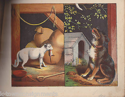 THE HOUSE THAT JACK BUILT ANTIQUE ILLUSTRATED CHILDREN'S NURSERY RHYME BOOK - K-townConsignments
