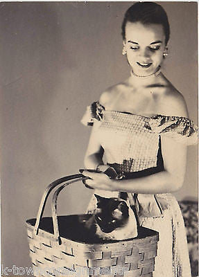 KITTY CAT IN A PICNIC BASKET W/ SUN DRESS FASHION MODEL VINTAGE SNAPHOT PHOTOS - K-townConsignments