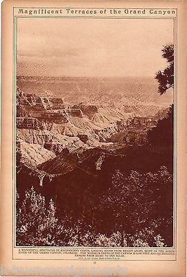 GRAND CANYON NATIONAL PARK LANDSCAPE ANTIQUE 1920s NEWS PHOTO POSTER PRINT - K-townConsignments
