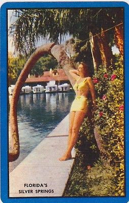BAND LEADER PIN-UP GIRL SILVER SPRINGS FL VINTAGE GRAPHIC ART PIN-UP CARDS LOT - K-townConsignments
