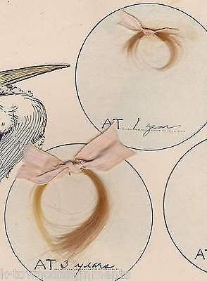 Locks of Our Baby's Hair Vintage 1900s Albertine Randall Wheelan Stork Art Print - K-townConsignments