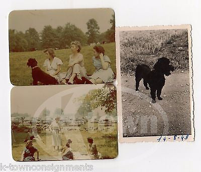 FINE BLACK POODLE DOG FAMILY VINTAGE 1950s AMERICAN LIFE SNAPSHOT PHOTOS LOT - K-townConsignments