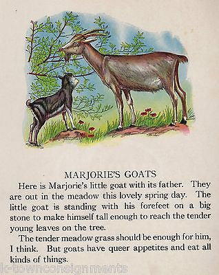 MARJORIE'S GOATS FARM ANTIQUE CHILDREN'S POEM GRAPHIC ILLUSTRATION PRINT 1922 - K-townConsignments