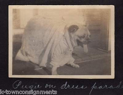 BLACK FACE MINSTREL GIRL CROSS DRESSING MAN HOUSE FLOOD & DOGS ANTIQUE SNAPSHOTS - K-townConsignments