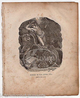 DANIEL 6:16 DANIEL IN THE LIONS DEN SAVED ANTIQUE BIBLE ENGRAVING PRINT 1846 - K-townConsignments