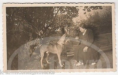 GERMAN SHEPHERD MIX DOG BEGGING FOR FOOD VINTAGE AMERICANA SNAPSHOT PHOTOGRAPH - K-townConsignments