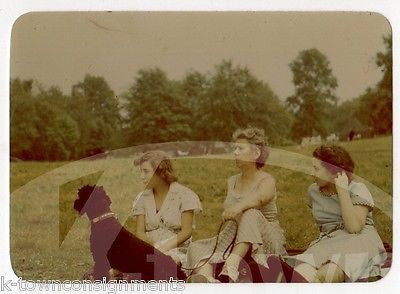 FINE BLACK POODLE DOG FAMILY VINTAGE 1950s AMERICAN LIFE SNAPSHOT PHOTOS LOT - K-townConsignments