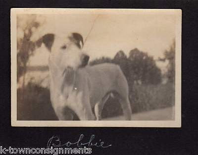 BLACK FACE MINSTREL GIRL CROSS DRESSING MAN HOUSE FLOOD & DOGS ANTIQUE SNAPSHOTS - K-townConsignments