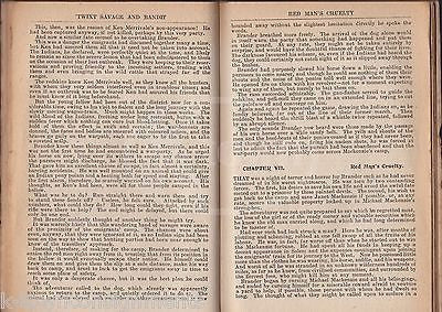 TWIXT SAVAGE & BANDIT BUFFALO BILL NOVEL ANTIQUE GRAPHIC ART COVER STORY BOOK - K-townConsignments