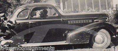 CUTE DOG RACING GOGGLES WITH HEAD OUT OF CAR WINDOW VINTAGE SNAPSHOT PHOTO - K-townConsignments
