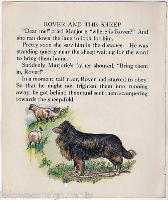ROVER THE SHEEP DOG ANTIQUE CHILDREN'S POEM ILLUSTRATION PRINT 1922 - K-townConsignments