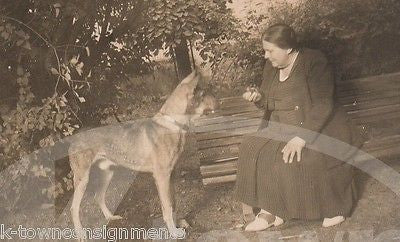 GERMAN SHEPHERD MIX DOG BEGGING FOR FOOD VINTAGE AMERICANA SNAPSHOT PHOTOGRAPH - K-townConsignments