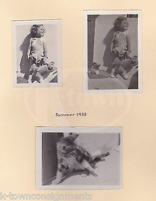 WWII SWISS FAMILY LIFE LITTLE GIRL W/ STEIFF BEAR FUN & SCHOOL OLD PHOTO ALBUM - K-townConsignments