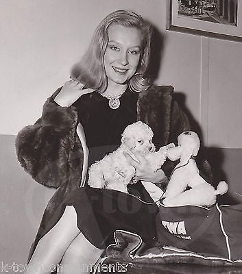 TWA AIRLINES NY SOCIALITE W/ PUPPY DOG & TOY POODLE VINTAGE NEWS PRESS PHOTO - K-townConsignments