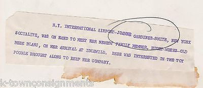 TWA AIRLINES NY SOCIALITE W/ PUPPY DOG & TOY POODLE VINTAGE NEWS PRESS PHOTO - K-townConsignments