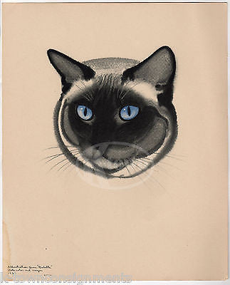 BABETTE CUTE BLUE EYED CAT FACE VINTAGE POSTER PRINT BY CLARE TURLAY NEWBERRY - K-townConsignments