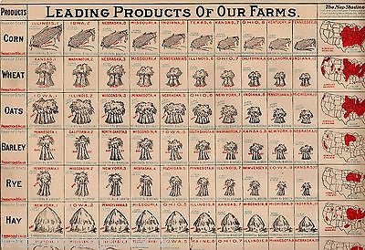 EARLY AMERICAN AGRICULTURE CORN COTTON TOBACCO ANTIQUE GRAPHIC CHART POSTER 1906 - K-townConsignments