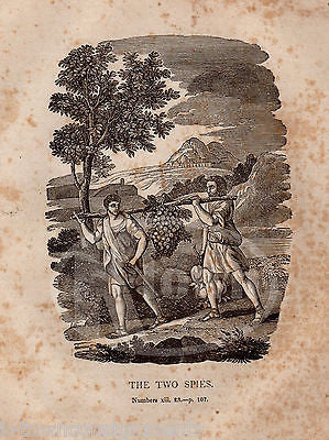 NUMBERS 13:23 ISRAEL SPIES INTO PROMISED LAND ANTIQUE BIBLE ENGRAVING PRINT 1846 - K-townConsignments